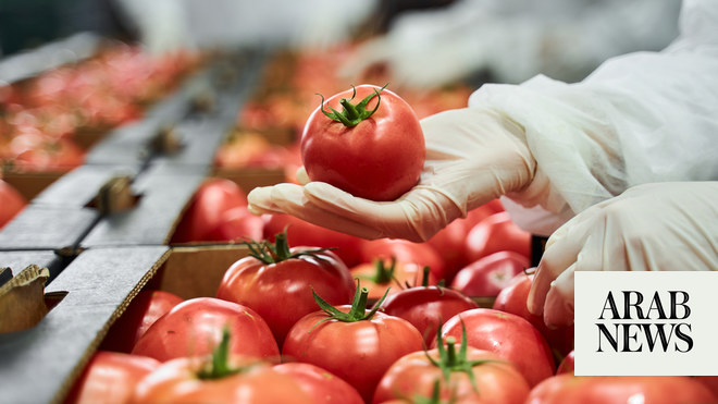 Food production deals worth $290m signed by Saudi Arabia’s industrial city authority in Vision 2030 boost